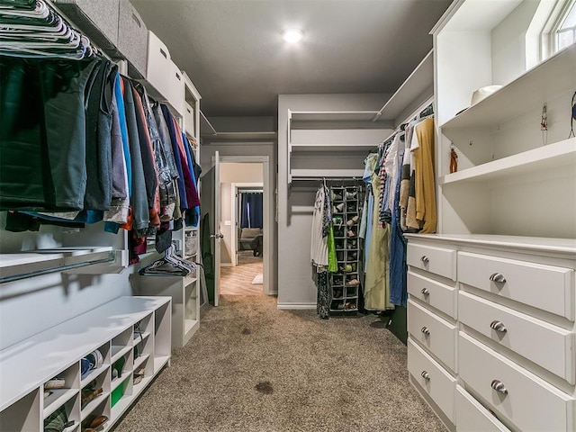 2395 County Road 1260, Blanchard, OK 73010 - walk in closet with carpet flooring