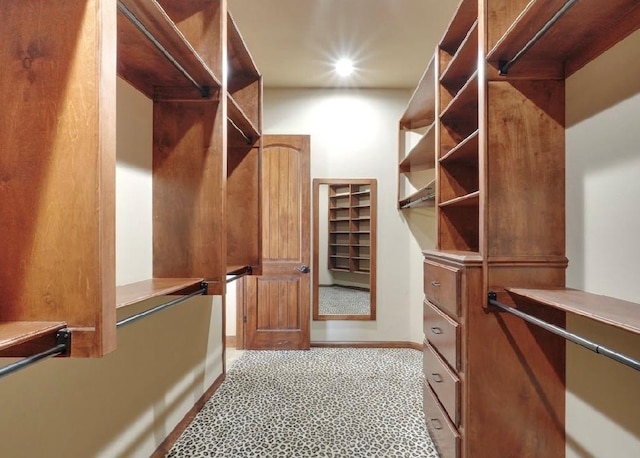 30202 Sleepy Hollow Dr, Mcloud, OK 74851 - view of spacious closet