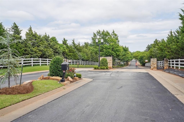 13209 Blue Canyon Cir, Oklahoma City, OK 73142 - view of asphalt street featuring a gate, street lighting, curbs, and a gated entry