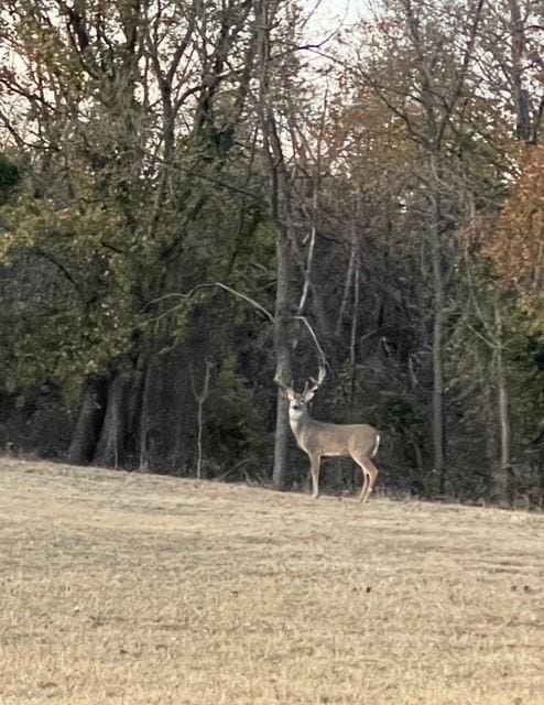 13501 E Memorial Rd, Jones, OK 73049 - view of wooded area