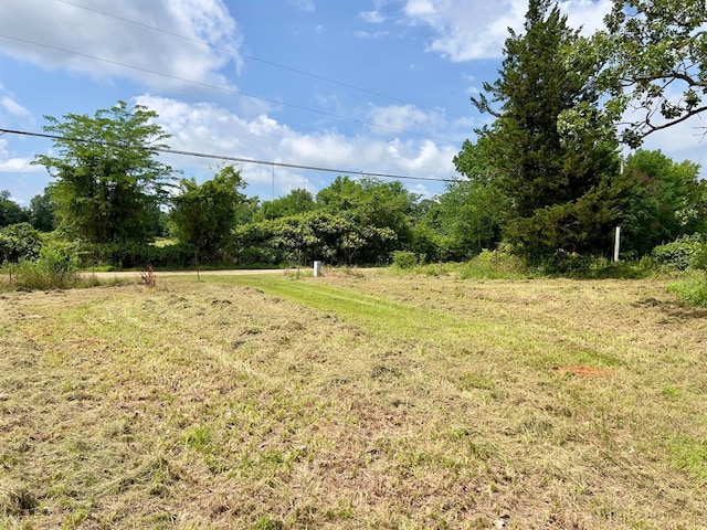 991 Skipjack Rd, Eagletown, OK 74734 - photo 3