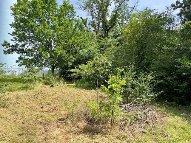 991 Skipjack Rd, Eagletown, OK 74734 - photo 10