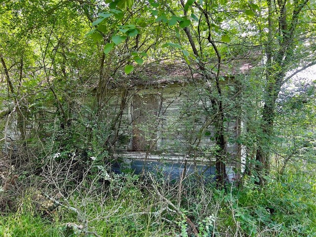 991 Skipjack Rd, Eagletown, OK 74734 - photo 12