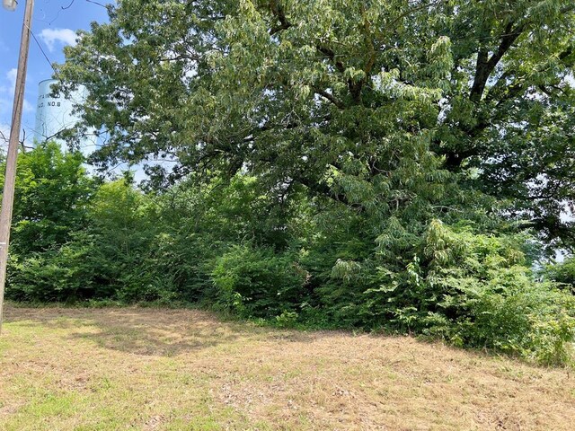 991 Skipjack Rd, Eagletown, OK 74734 - photo 16