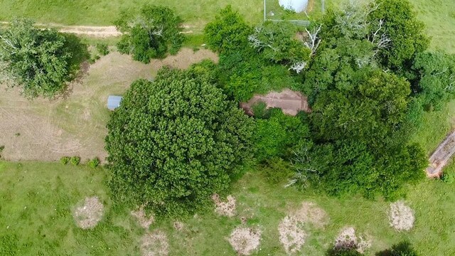 991 Skipjack Rd, Eagletown, OK 74734 - photo 22