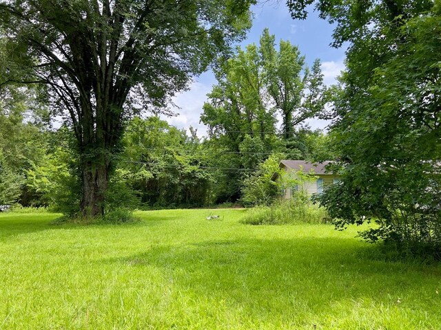332 Porcupine Rd, Eagletown, OK 74734 - photo 10