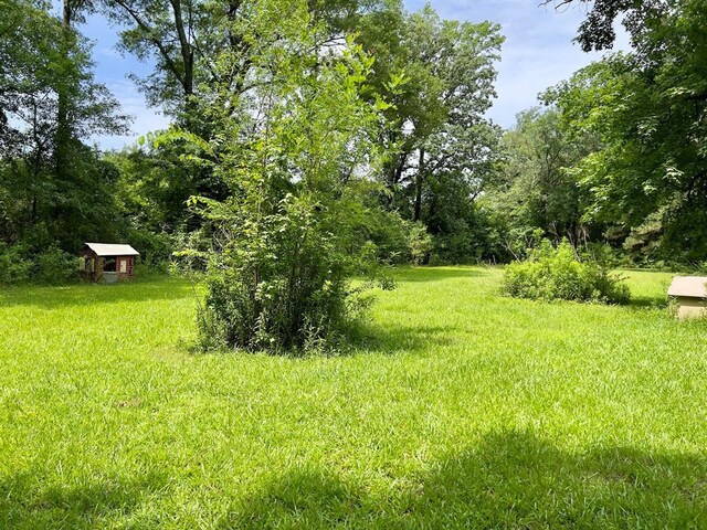 332 Porcupine Rd, Eagletown, OK 74734 - photo 11