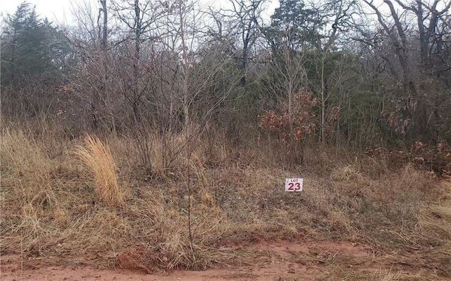1165 Eastway Ln, Guthrie, OK 73044
