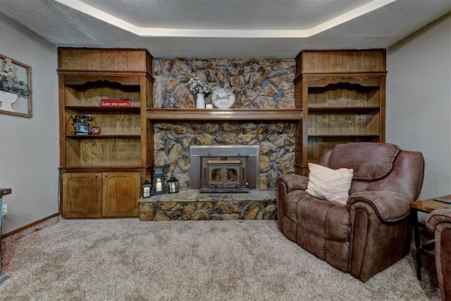 881 County St Unit 2938, Tuttle, OK 73089 - carpeted living room with a wood stove, a tray ceiling, and a textured ceiling