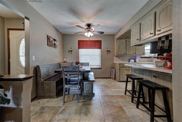 881 County St Unit 2938, Tuttle, OK 73089 - dining space featuring a ceiling fan and healthy amount of natural light