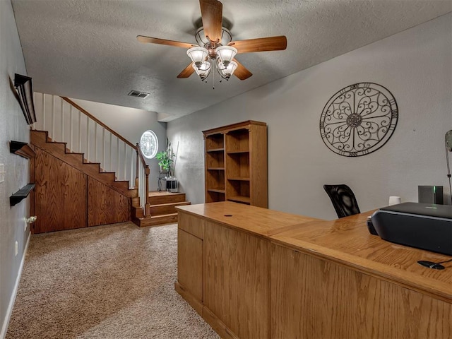 434 N Oak Ave, Hennessey, OK 73742 - office space featuring a textured ceiling, a ceiling fan, and light carpet