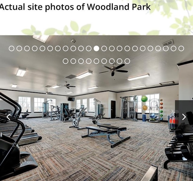 8401 Poplar Dr, Edmond, OK 73034 - exercise room with carpet and a ceiling fan