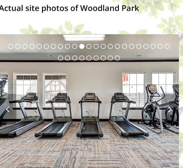 8401 Poplar Dr, Edmond, OK 73034 - exercise room with carpet and plenty of natural light