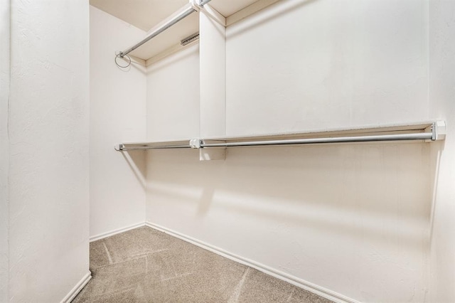 11129 Springhollow Ct, Oklahoma City, OK 73120 - walk in closet with carpet