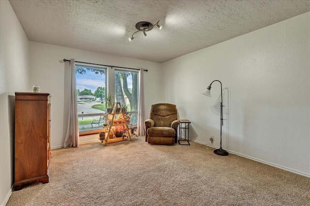 2122 Edinburg Dr, Yukon, OK 73099 - living area with carpet flooring and a textured ceiling
