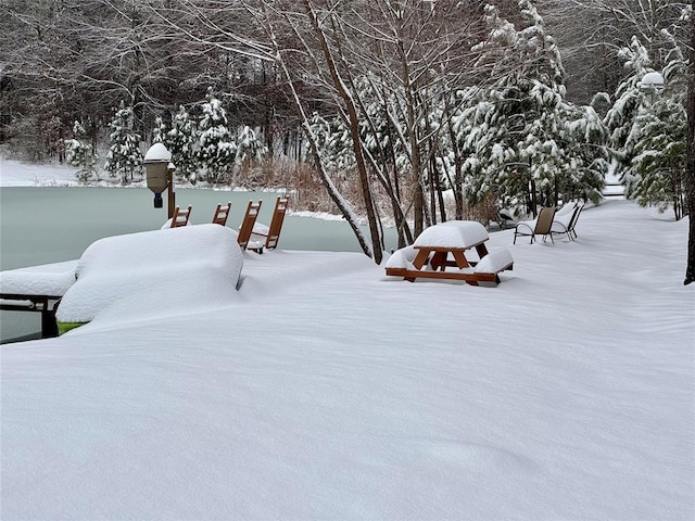 36 Spruce Ct, Broken Bow, OK 74728 - view of snowy yard