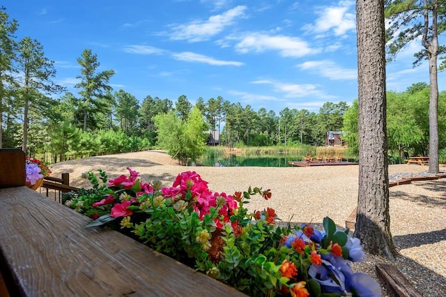 36 Spruce Ct, Broken Bow, OK 74728 - view of yard