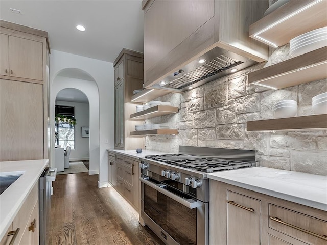 2917 Piazza Ct, Arcadia, OK 73007 - kitchen featuring stainless steel appliances, open shelves, custom exhaust hood, decorative backsplash, and arched walkways