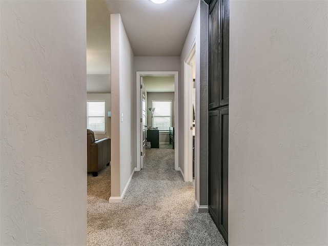 4101 NW 151st St, Edmond, OK 73013 - photo 34