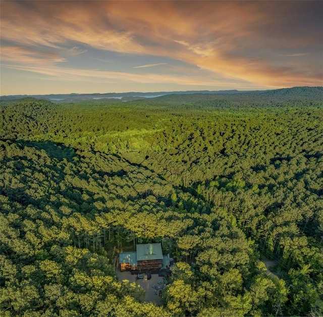 225 Stevens Rd, Broken Bow, OK 74728 - aerial view of property's location featuring a forest