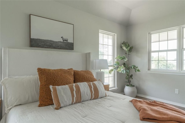 1848 County Road 1198, Tuttle, OK 73089 - bedroom with multiple windows and lofted ceiling
