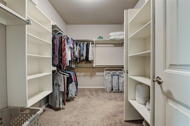 4600 Kentucky Ridge Dr, Mustang, OK 73064 - spacious closet with carpet
