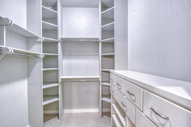 823 S Flood Ave, Norman, OK 73069 - walk in closet featuring carpet floors