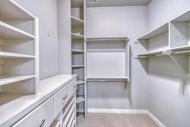 823 S Flood Ave, Norman, OK 73069 - walk in closet featuring carpet flooring