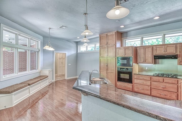 823 S Flood Ave, Norman, OK 73069 - kitchen with black appliances, under cabinet range hood, light wood-style flooring, hanging light fixtures, and recessed lighting