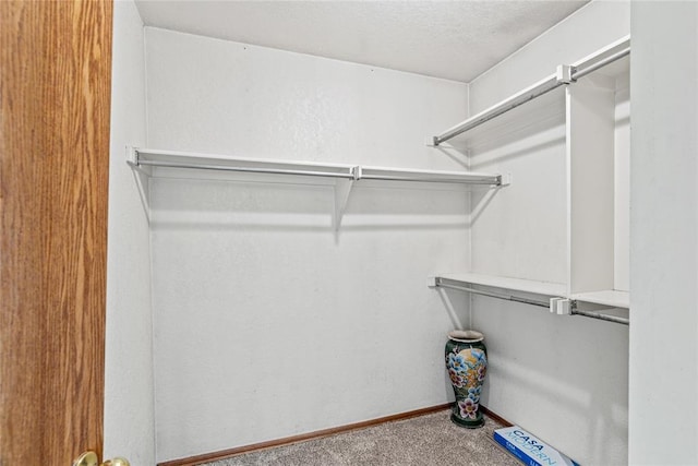 4924 Byron Cir, Yukon, OK 73099 - spacious closet with carpet flooring