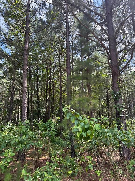 96 Hochapine Trl, Broken Bow, OK 74728