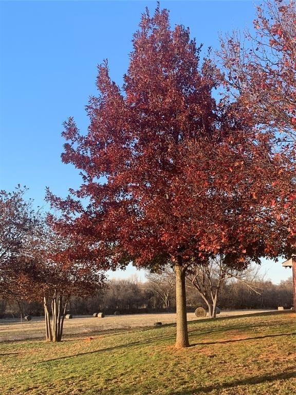 1008 County Road 1580, Marlow, OK 73055 - view of grassy yard
