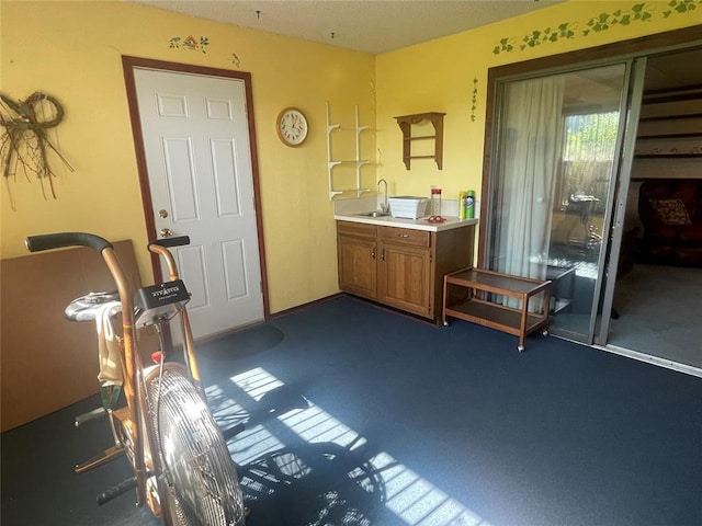24400 Blackjack Rd, Perry, OK 73077 - misc room featuring a sink and dark carpet