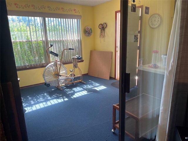 24400 Blackjack Rd, Perry, OK 73077 - exercise room with carpet floors and baseboards