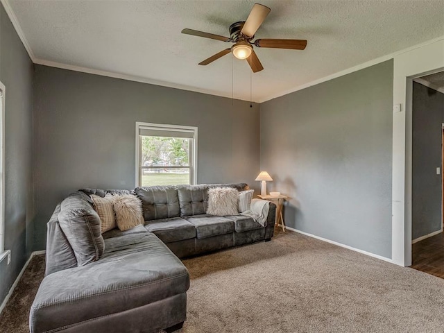 901 S 11th St, Kingfisher, OK 73750 - carpeted living area featuring ceiling fan, crown molding, and a textured ceiling