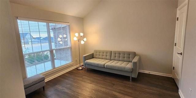 821 Mount Irving Way, Norman, OK 73071 - living area with lofted ceiling and dark wood finished floors