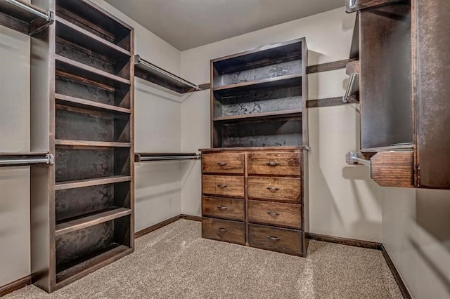 3205 Sycamore Dr, Moore, OK 73160 - walk in closet with carpet floors