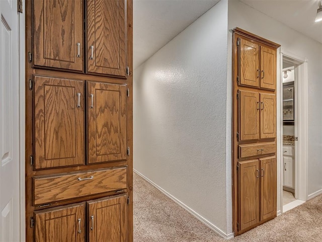 1008 S Neptune Rd, Edmond, OK 73003 - corridor with light colored carpet and a textured wall