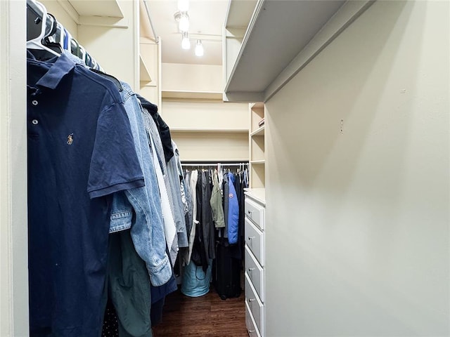 1004 Reginald Dr, Norman, OK 73072 - walk in closet with wood finished floors