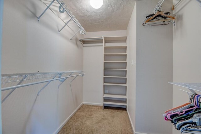 824 N Poplar Ln, Midwest City, OK 73130 - walk in closet featuring light colored carpet