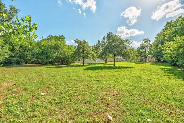824 N Poplar Ln, Midwest City, OK 73130 - view of green lawn
