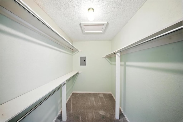 4713 N Cypress Ct, Oklahoma City, OK 73162 - walk in closet with carpet flooring and electric panel