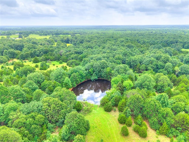 344393 E 930th Rd, Chandler, OK 74834 - bird's eye view of a large body of water and a heavily wooded area