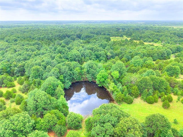 344393 E 930th Rd, Chandler, OK 74834 - bird's eye view of a nearby body of water and a forest