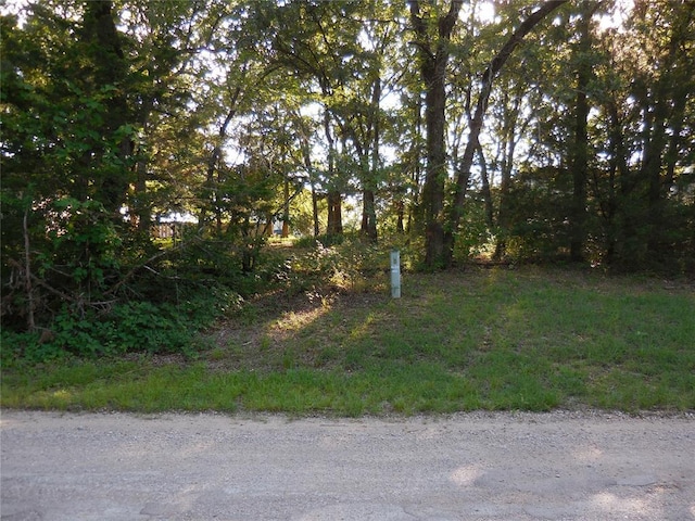 2540 Shalmar Rd, Sulphur, OK 73086 - view of yard
