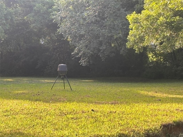1800 N Elm Ave, Shawnee, OK 74804 - view of green lawn