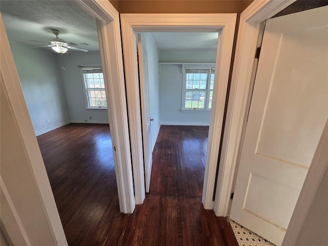 1103 S Hadden Ave, El Reno, OK 73036 - hallway featuring wood finished floors, healthy amount of natural light, and crown molding