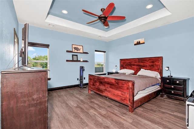 5901 NE Watts Rd, Elgin, OK 73538 - bedroom with a tray ceiling, wood finished floors, multiple windows, and recessed lighting