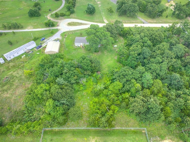 105591 S Meadowood St, Mcloud, OK 74851 - photo 38