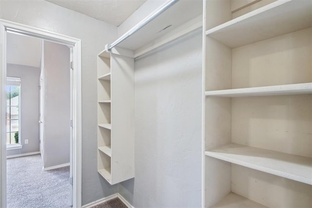 4605 Mackenzie Dr, Moore, OK 73160 - spacious closet with carpet flooring
